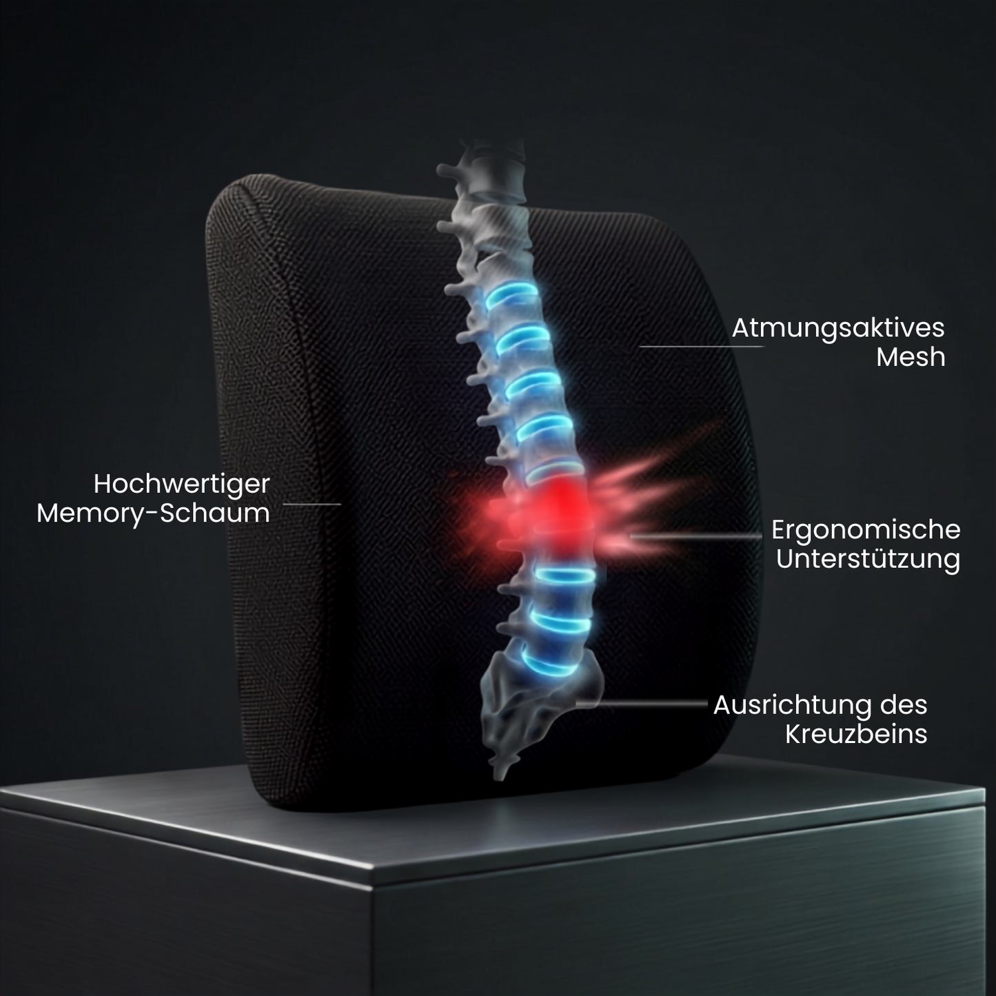 Rejuvera Drive™ – Ergonomische Lendenstütz-Kissen